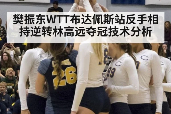樊振东WTT布达佩斯站反手相持逆转林高远夺冠技术分析
